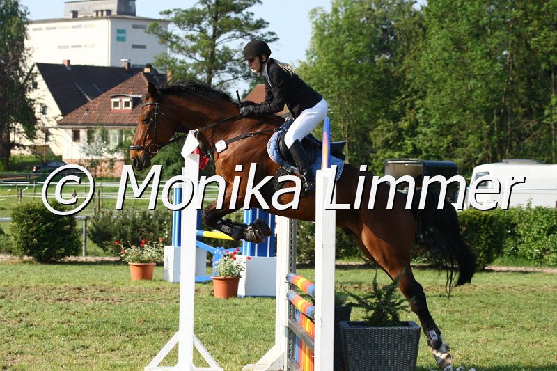 105M3168_Little Richard_Spring_A.JPG